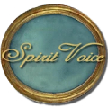 Spirit Voice 2.0 SW Ghost Box Mod