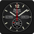 Speeds Pro Watch Face icon