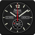 Speeds Pro Watch Face Mod