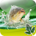 Angeln Pro APK