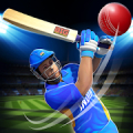 Real World Cricket 18: Cricket Games icon