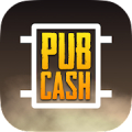 Pubcash Mod