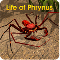 Life of Phrynus - Whip Spider Mod