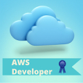 AWS Certified Developer - Associate Level Exam‏ Mod