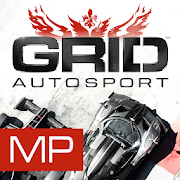 GRID™ Autosport - Online Multiplayer Test Mod