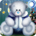 Christmas & Winter Teddy icon