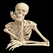 Human Anatomy Pro Mod
