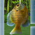 Fishing 3D Mod