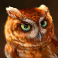 The Owl icon