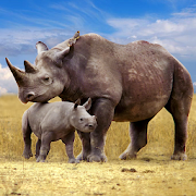 The Rhinoceros icon