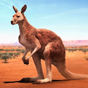 The Kangaroo Mod Apk