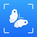 Picture Insect - Insetos ID Mod