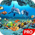 Fish Live Wallpaper Aquarium P Mod