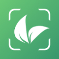 Plant Lens Plant identifier icon