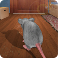 Мышь В Доме Симулятор 3D Mod