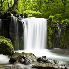 Relax Bosque: sonidos dormir Mod Apk 5.10.3 [Desbloqueado]