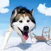 Alaskan Malamute Simulator Mod
