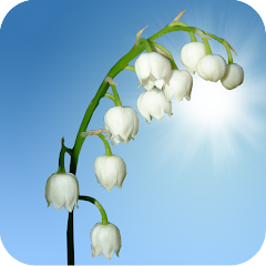 Lily of the Valley Wallpaper Mod