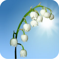 Lily of the Valley Wallpaper Mod
