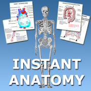 Anatomy Flash Cards Mod