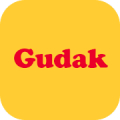 Gudak Cam icon