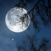Relax Night: sleep sounds Mod
