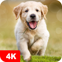 Dog Wallpapers & Puppy 4K Mod