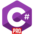 Exercises C# Pro Mod