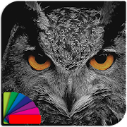 Theme - Night Owl Mod