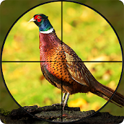 Pheasant Shooter Birds Hunting Mod