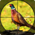 Pheasant Shooter Birds Hunting icon