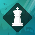 Magnus Trainer  - تعلم وتدرب على الشطرنج Mod