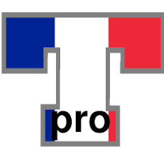 French Verb Trainer Pro icon