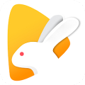 Bunny Live - Live Stream icon