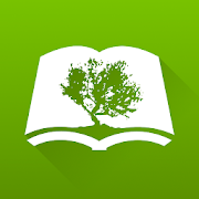 Message Bible by Olive Tree Mod