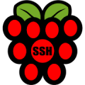 Raspberry SSH Custom Buttons icon