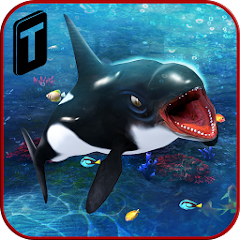 Killer Whale Beach Attack 3D Mod