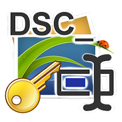 DSC Auto Rename PRO Mod
