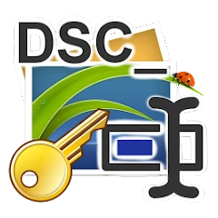 DSC Auto Rename PRO Mod