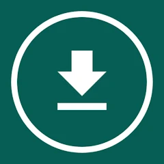 Story & Status Saver App Mod