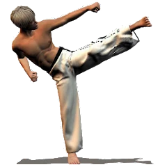 Taekwondo Forms