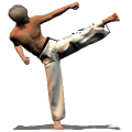 Taekwondo Forms Mod