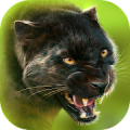 Panther Online icon