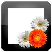 PhotoFrames Pro Mod