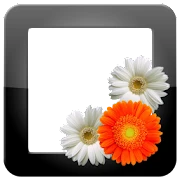PhotoFrames Pro Mod