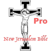 NJB Audio Bible Pro Mod