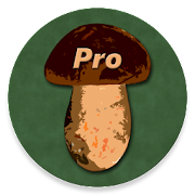 Book of Mushrooms PRO Mod