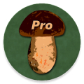 Book of Mushrooms PRO Mod