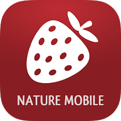 Wildberries APK for Android - Download