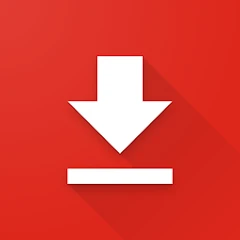 Video er Pro & Browser Mod